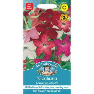 Mr Fothergills Nicotiana Sensation Mixed