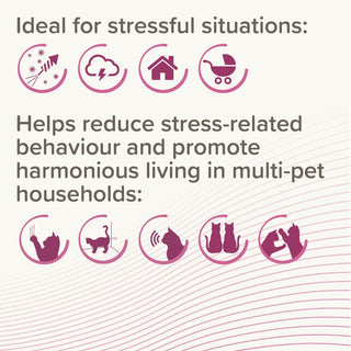 CatComfort® Excellence Calming Diffuser Starter Kit
