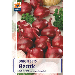 Electric Onions
