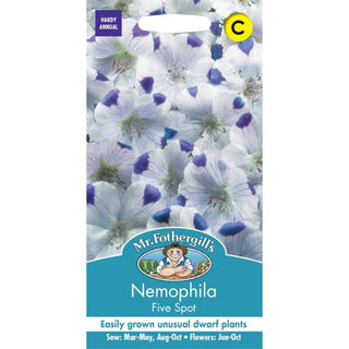 Mr Fothergills Nemophila Five Spot