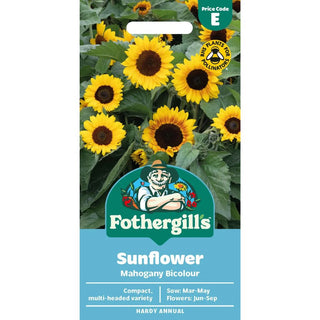 Mr Fothergills Sunflower Mahogony