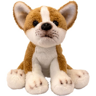 Suki Small Sitting Welsh Corgi