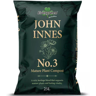 Evergreen John Innes No 3