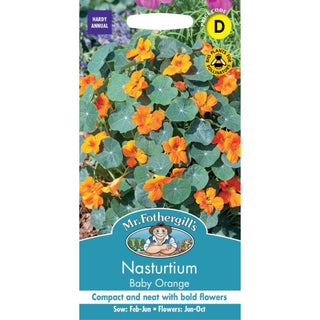 Mr Fothergills Nasturtium Baby Orange