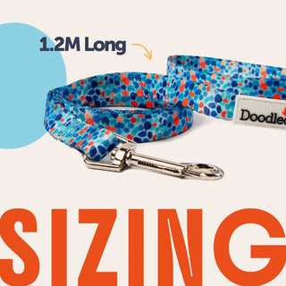 Cat Roaming Harness & Lead