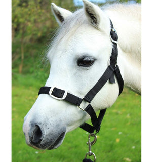 Headcollar & Leadrope Set