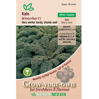 Kings Seeds Kale Winterbor F1