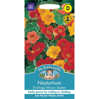Mr Fothergills Nasturtium (trailing) African Queen