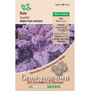 Kings Seeds Kale Scarlet
