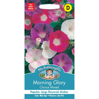 Mr Fothergills Morning Glory Choice Mixed
