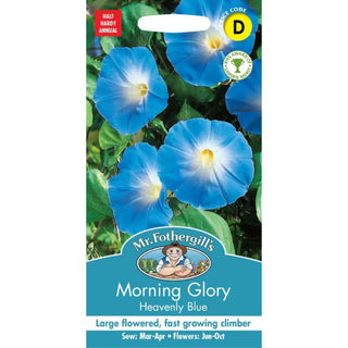 Mr Fothergills Morning Glory Heavenly Blue