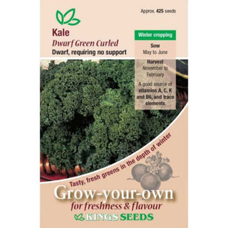 Kings Seeds Kale Dwarf Green Curled