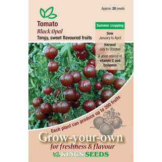 Kings Seeds Tomato Black Opal