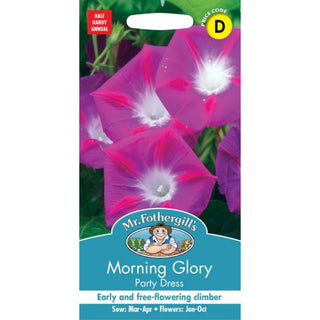 Mr Fothergills Morning Glory Party Dress