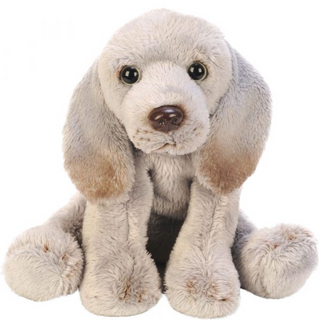 Suki Small Sitting Weimaraner