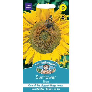 Mr Fothergills Sunflower Titan