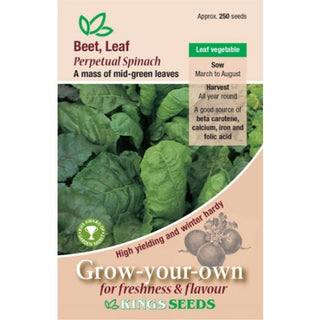Kings Seeds Leaf Beet Perpetual Spinach Rhs Agm