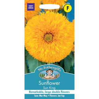 Mr Fothergills Sunflower Sun King