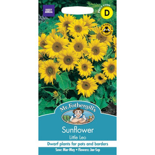 Mr Fothergills Sunflower Little Leo