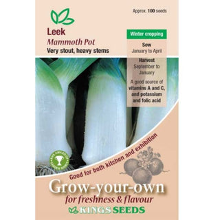 Kings Seeds Leek Mammoth Pot