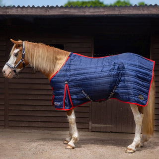 Ponie 200g Stable Rug