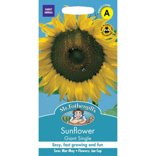 Mr Fothergills Sunflower Giant Single