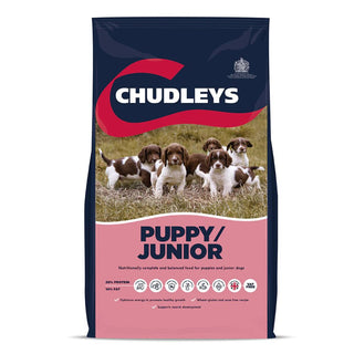 Chudleys Puppy/Junior