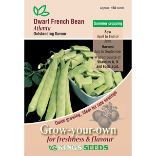 King Seed Dwarf French Bean Atlanta