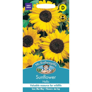 Mr Fothergills Rspb Sunflower Hallo