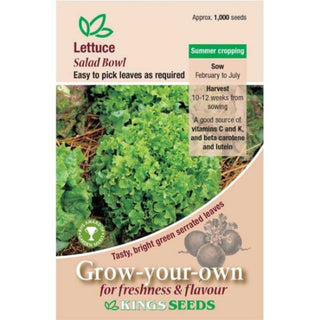 Kings Seeds Lettuce Salad Bowl Green Rhs Agm