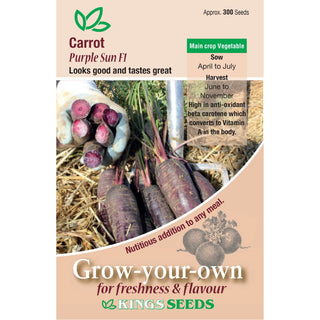 Kings Seeds Carrot Purple Sun F1