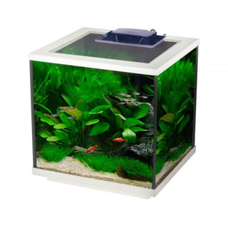 Aqua Cube Led Aquarium 28 L