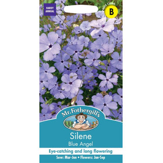 Mr Fothergills Silene Blue Angel