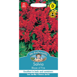 Mr Fothergills Salvia Blaze Of Fire