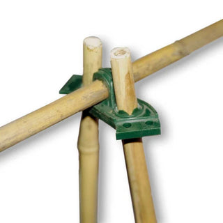 Zoar's Ark Ridge/ Wigwam Grip