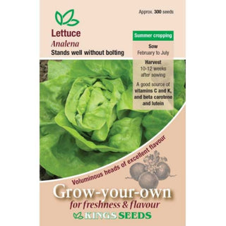Kings Seeds Lettuce Analena