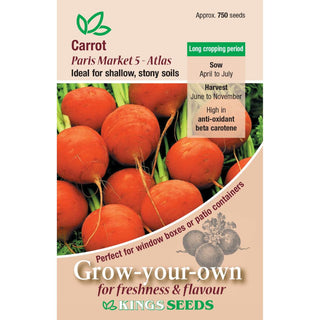 Kings Seeds Carrot Paris Market 5 - Atlas
