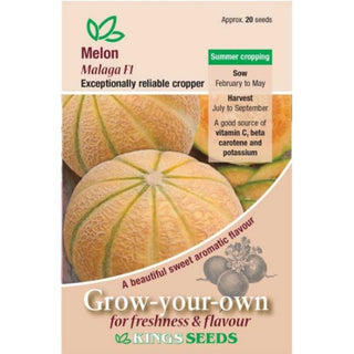 Kings Seeds Melon Malaga F1
