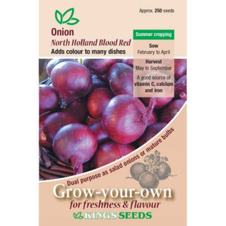 Kings Seeds Onion North Holland Blood Red