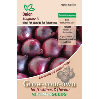 Kings Seeds Onion Magnate F1
