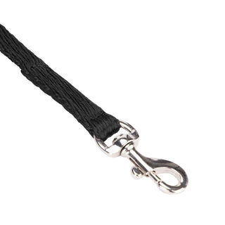 Digby & Fox Cushion Web Lead  2cm