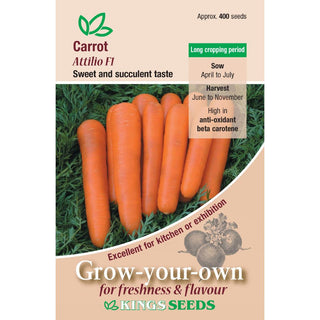 Kings Seeds Carrot Attillo F1