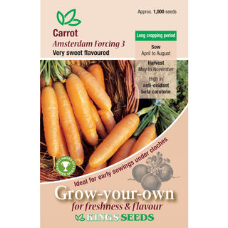 Kings Seeds Carrot Amsterdam Forcing 3 Rhs Agm
