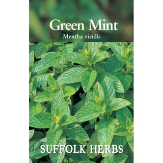 Suffolk Herbs Green Mint