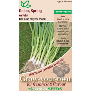 Kings Seeds Onion Spring Gerda