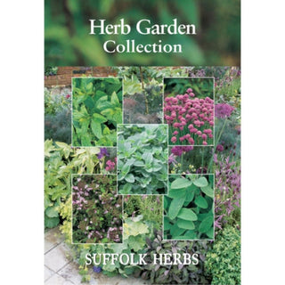 Suffolk Herbs Herb Garden Collection Pack Thyme, Mint, Sage, Chives, Oregano Greek