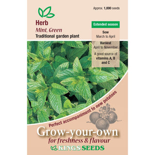 Kings Seeds Herb Mint Green