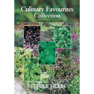 Suffolk Herbs Culinary Favourites Collection Pack Basil, Sage, Thyme, Mint, Sweet Marjoram