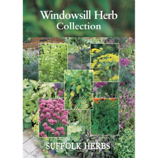 Suffolk Herbs Windowsill Herb Collection Pack  Bush Basil, Chives, Dill, Parsley, Coriander