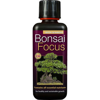 Growth Technology Bonsai Focus